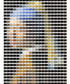 Girl with a Pearl Earring – Pantone Art