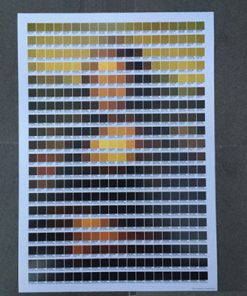 Mona Lisa - Pantone Art