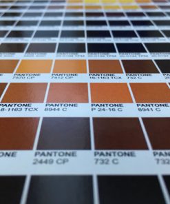 Mona Lisa - Pantone Art