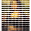 Mona Lisa – Pantone Art