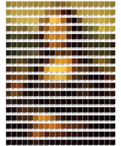 Mona Lisa – Pantone Art