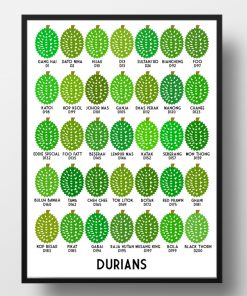 durian types