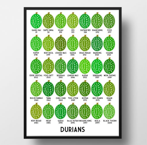 durian types